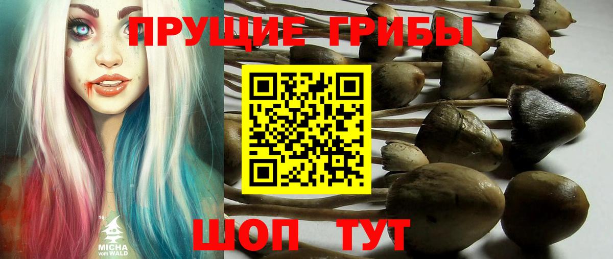 Костомукша  Псилоцибиновые грибы MAGIC MUSHROOMS  Вход с VPN 